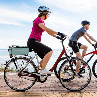 RAYMACE Bike Rear Rack Bag with Tail Light, Bike Truck Cooler Bag for Warm or Cold Items