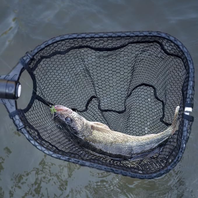 KastKing Brutus Fishing Net, Foldable Extendable Fish Landing Net, Lightweight & Portable Fishing Net with Soft EVA Foam Handle, Holds up to 44lbs/20KG, Fish-Friendly Mesh for a Safe Release