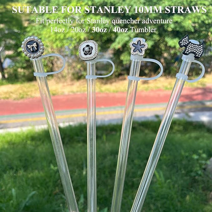 4 PCs Bling Straw Cover Cap for Stanley Cup, Sparkle Straw Toppers for 20 30 40 oz Tumblers, 10mm Straw Accessories Cute Gifts for Girls and Women (Retro)