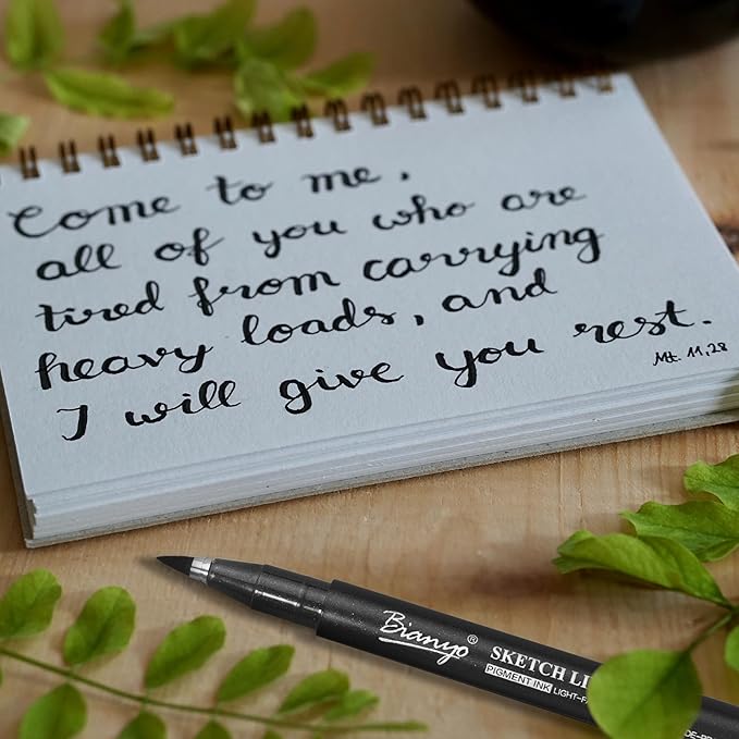 Bianyo Art Drawing Pens Art Supplies - 10 Assorted Art Pens + 2 Black Art Markers, Upgraded Pigment Water-Resistant Archival Ink, Bonus Pouch Bag - Perfect for Artists, Crafters