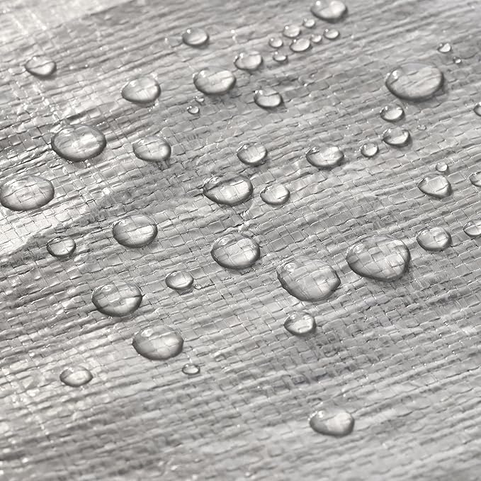 WHITEDUCK Super Heavy Duty Poly Tarp Cover 16 Mil & 10 Mil with Grommets and Reinforced Edges (Brown, White & Silver Black) (Silver Black- 16 Mil, 20' x 30')