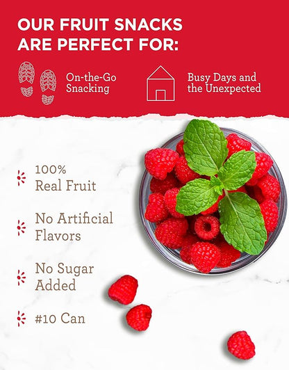 READYWISE - Simple Kitchen Freeze Dried Raspberries, 22 Servings, Vegan, Gluten Free, Healthy Snack, Survival Food, Dried Fruit, Raspberries