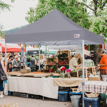 MASTERCANOPY Pop Up Canopy Tent Commercial Grade 10x10 Instant Shelter (Grey)