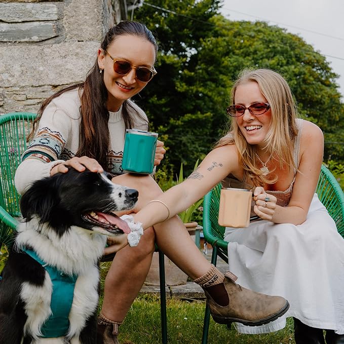 Ideus 16 oz Coffee Cup, Stainless Steel Coffee Travel Mug, Spill Proof Tea Mug with Handle and Lid, Lightweight and Durable, Great for Office Home and Outdoor Use, Snow White-FUJI FLOW