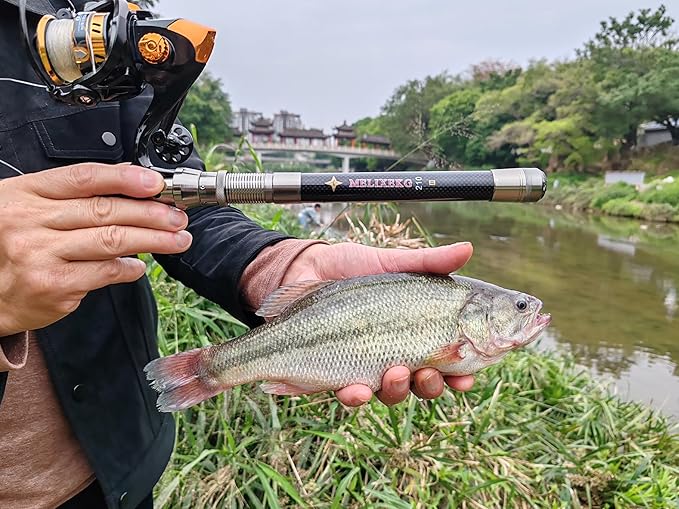 Telescopic Fishing Rod and Reel Combination, 240 Cm Carbon Fiber Rod, Adult Foldable Fishing Rod Suitable for Freshwater and Salt Water