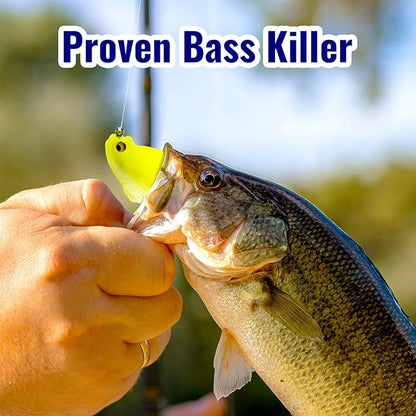 Soft Fishing Lures 5pcs Kit with Tackle Box Weedless Paddle Tail Swimbaits for Bass Trout Crappie Walleye Freshwater Saltwater Life Like Action Durable Plastic Sharp Hooks