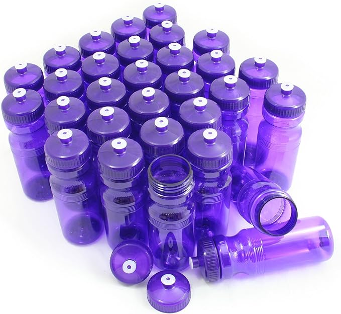 Rolling Sands USA Made 24 Ounce Sports Water Bottles - 30 Pack BPA-Free Blank Plastic Bottles for Teams, Gyms & Studios - Translucent Purple Bottle/Purple Lid