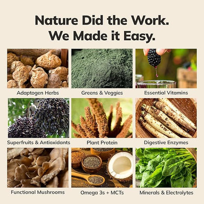 Ka’Chava Whole Body Meal Shake Chocolate – Vegan Protein Powder with 85+ superfoods and ingredients – Plant-Based Meal Replacement with Probiotics & Digestive Enzymes – 5 Sachets Travel Pack (5 Servings)