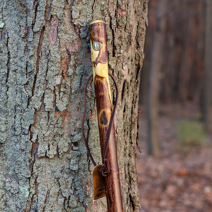 Brazos Rustic Wood Walking Stick, Hawthorn, Traditional Style Handle, for Men & Women, Made in The USA