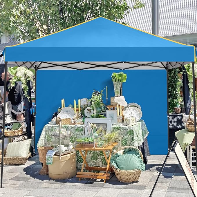 Alishebuy 10x10 Pop Up Canopy Tent with 4 Removable Sidewalls 2.0, Waterproof Commercial Instant Gazebo Tent Outdoor Canopy Tents for Party/Exhibition/Picnic with Carry Bag,4 Stakes & Ropes (Blue)