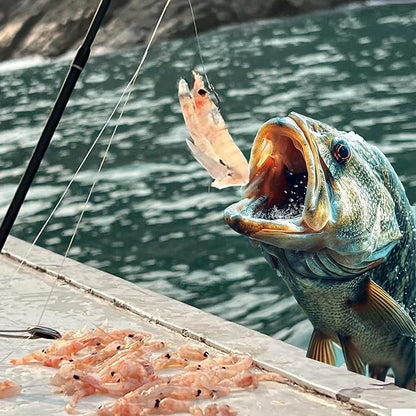 Live Shrimp Hook Set,Carbon Steel Barbed Fishing Hooks Freshwater Saltwater,Shrimp Lure,Bass Carp Catfish Bait