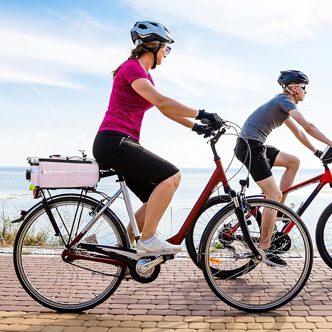 RAYMACE Bike Rear Rack Bag with Tail Light, Bike Truck Cooler Bag for Warm or Cold Items