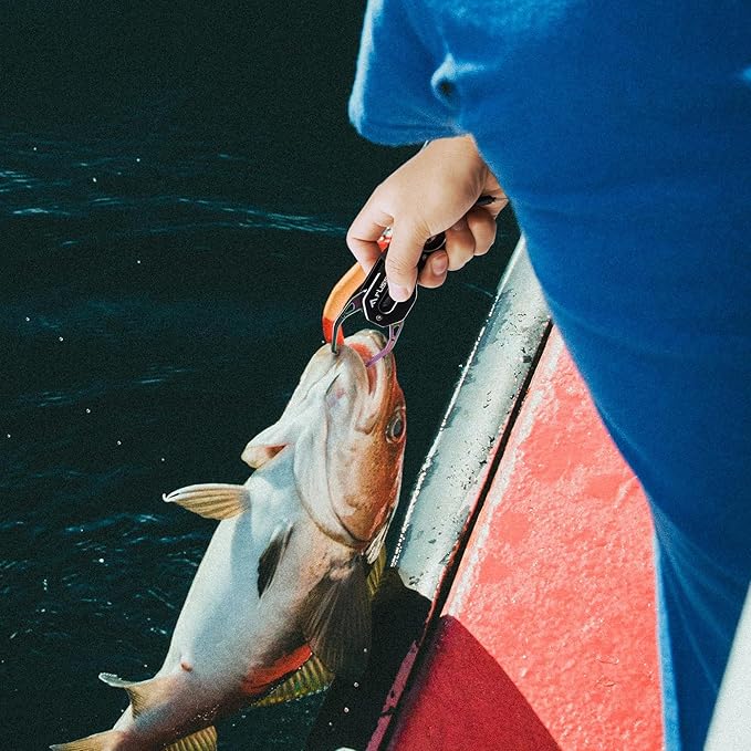 FLISSA Fish Gripper, Fish Lip Grip Tool with Carabiner and Spring Anti-Lost Rope, Durable Stainless Steel Fish Grabber Gripper, Lightweight Holder for Fishing, Corrosion Resistant & Portable