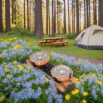20,000 BTUs 2 Burner Propane Camping Stove, Portable Folding Camp Stove with Adjustable Burners, Regulator and Carrying Bag, Dual Gas Stoves Easy Carrying Handle for Tailgating, Camping, BBQ