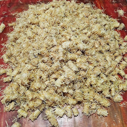 100% Natural Charcoal Fire Starters Super Fast Lighting，Perfect for Barbecue Grills, Kamado, Smokers, Wood Stove and Campfire (500+)